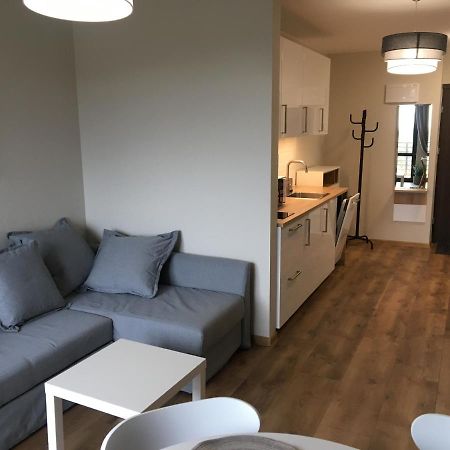 Apartament Silence Triventi Topaz Karpacz Kültér fotó
